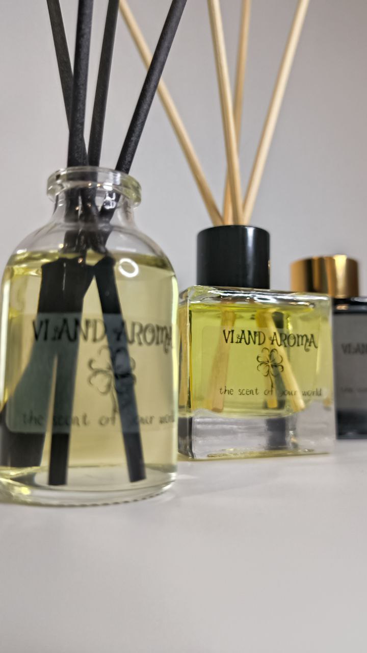Аромадиффузор VLAND AROMA STANDART